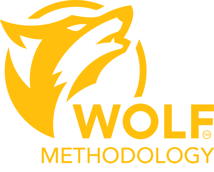 logo overlay